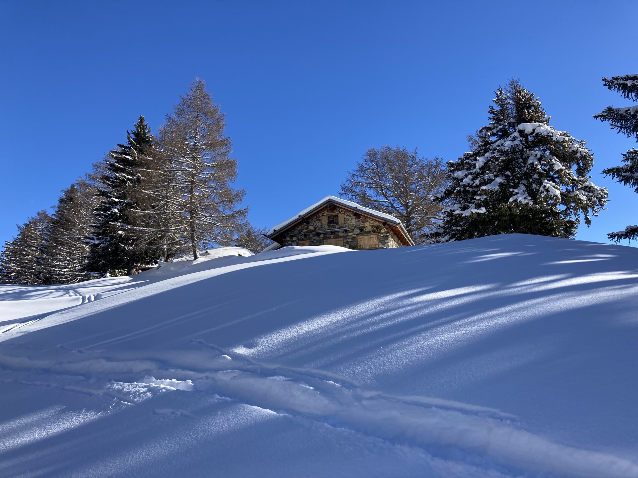 Winter landscape in Anzère, Valais
